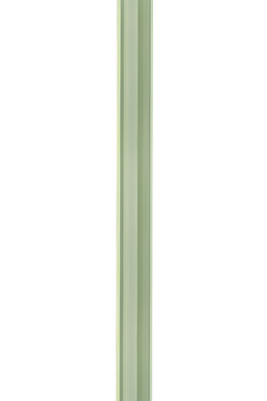 Flora - Transparent Green Walking Stick