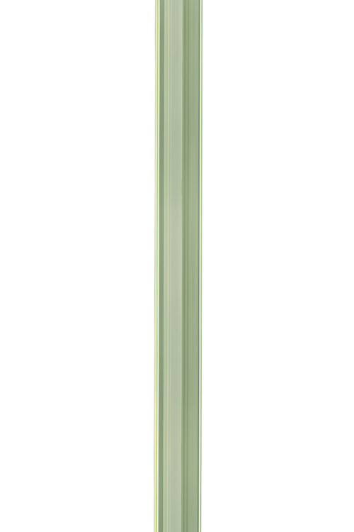 Flora - Transparent Green Walking Stick